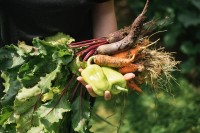 kako_doskociti_slabokrvnosti