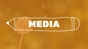 media