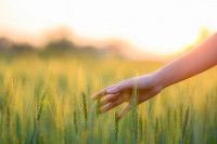 priroda_u_sluzbi_imuniteta