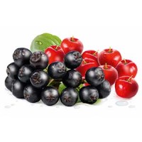 Juicy pomegranate and its half with leaves.